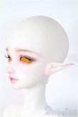 画像4: Angell Studio/Claudia Fullset Y-25-03-19-082-YD-ZY (4)