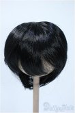 画像1: 8-9inch/ウィッグ Y-25-03-19-160-YD-ZY (1)