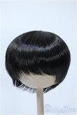 画像1: 9-10inch/ウィッグ Y-25-03-19-148-YD-ZY (1)