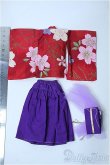 画像2: azone/OF:PNM衣装セット Y-25-03-26-161-YD-ZY (2)