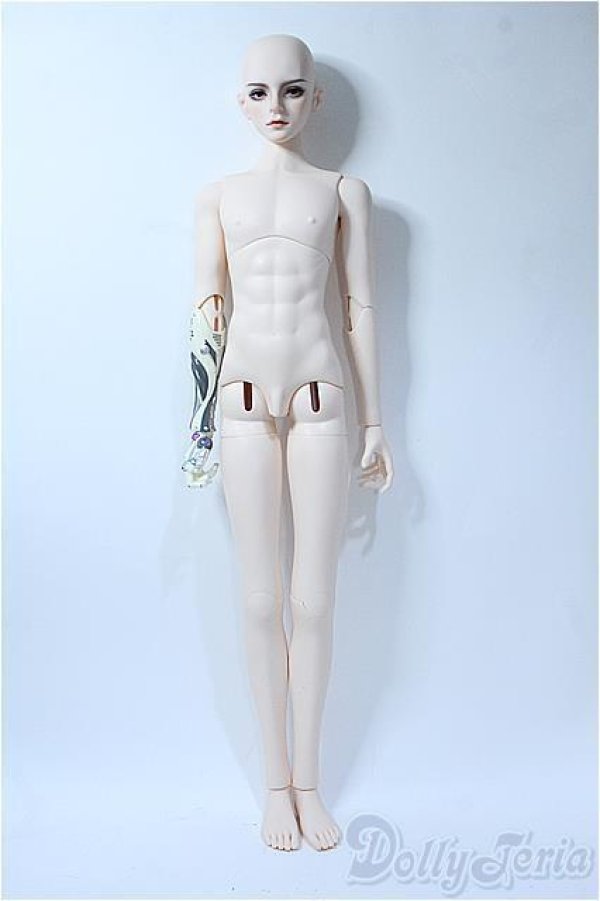 画像6: RINGDOLL/Decree Dog (D.D) Y-25-09-10-235-YD-ZY (6)