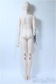 画像7: RINGDOLL/Decree Dog (D.D) Y-25-03-26-329-YD-ZY (7)