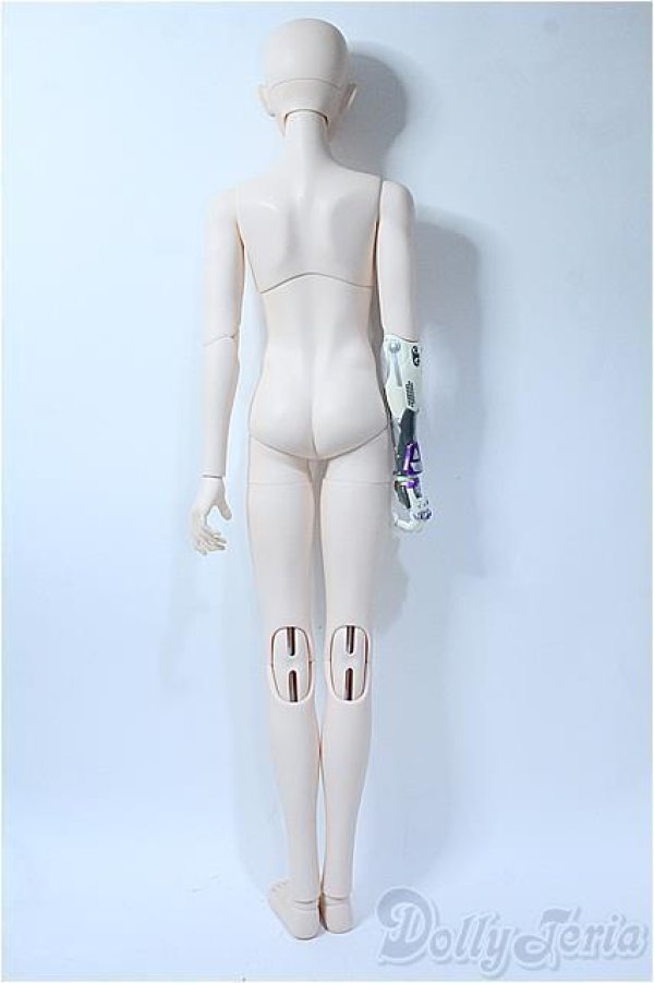 画像7: RINGDOLL/Decree Dog (D.D) Y-25-09-10-235-YD-ZY (7)