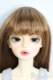 画像1: FOVEO/Delma S-25-10-26-305-YD-ZS (1)