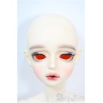 画像: FOVEO/Delma Y-25-03-26-330-YD-ZY