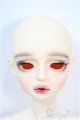 画像: FOVEO/Delma Y-25-03-26-330-YD-ZY