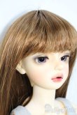 画像2: FOVEO/Delma S-25-10-26-305-YD-ZS (2)