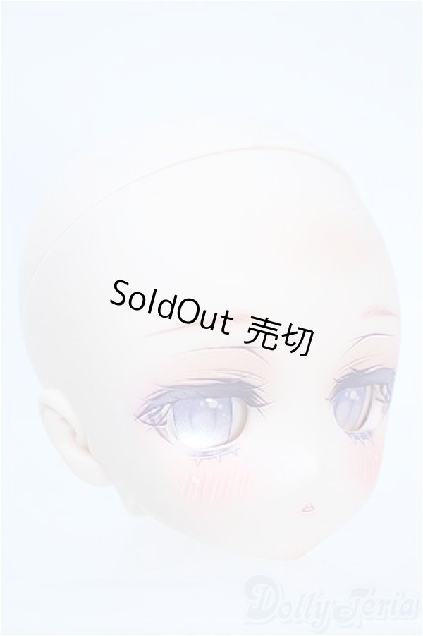 画像2: DD/DDH-27カスタムヘッド S-25-10-26-312-YD-ZS (2)