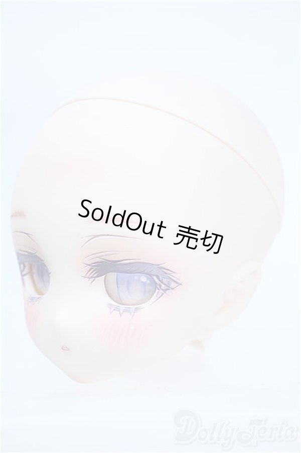 画像3: DD/DDH-27カスタムヘッド S-25-10-26-312-YD-ZS (3)