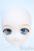 画像1: DD/DDH-27カスタムヘッド Y-25-04-02-033-YD-ZY (1)