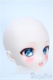 画像2: DD/DDH-27カスタムヘッド Y-25-04-02-034-YD-ZY (2)