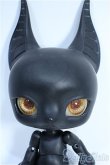 画像1: BLACK BOX/Anubis Y-25-04-02-049-YD-ZY (1)