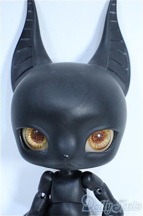 画像1: BLACK BOX/Anubis Y-25-04-02-049-YD-ZY (1)