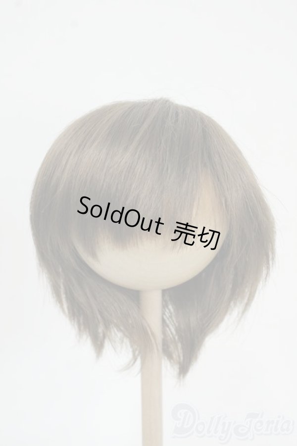 画像1: 8-9inch/ウィッグ Y-25-12-17-175-YD-ZY (1)