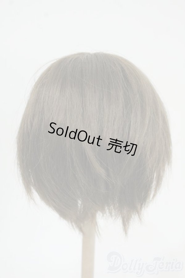 画像2: 8-9inch/ウィッグ Y-25-12-17-175-YD-ZY (2)