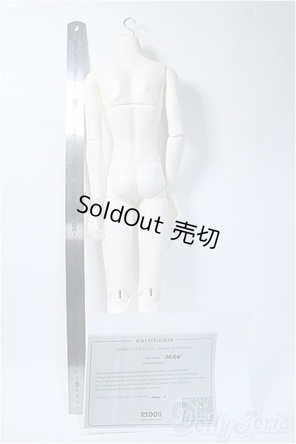 画像2: RSDOLL/RG　LINE　ボディ Y-25-04-02-133-YD-ZY (2)