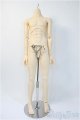 画像: DOLLCLANS/U-line body Y-25-04-09-021-YD-ZY