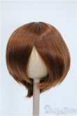 画像1: 8-9inch/ウィッグ Y-25-04-09-081-YD-ZY (1)
