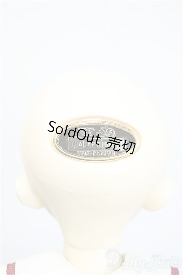 画像5: SDM女の子/アダプションモデルF-34 Y-25-04-09-122-YD-ZY (5)