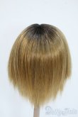 画像2: 9-10inch/ウィッグ Y-25-04-16-007-YD-ZY (2)