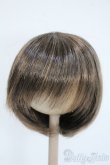 画像1: 9-10inch/ウィッグ Y-25-04-16-006-YD-ZY (1)