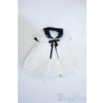 画像: MDD/OF:衣装セット Y-25-04-16-182-TN-ZY