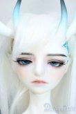 画像1: Dream Valley/Cayes(?伊斯) Dragon Version Fullset Y-25-04-16-168-YD-ZY (1)
