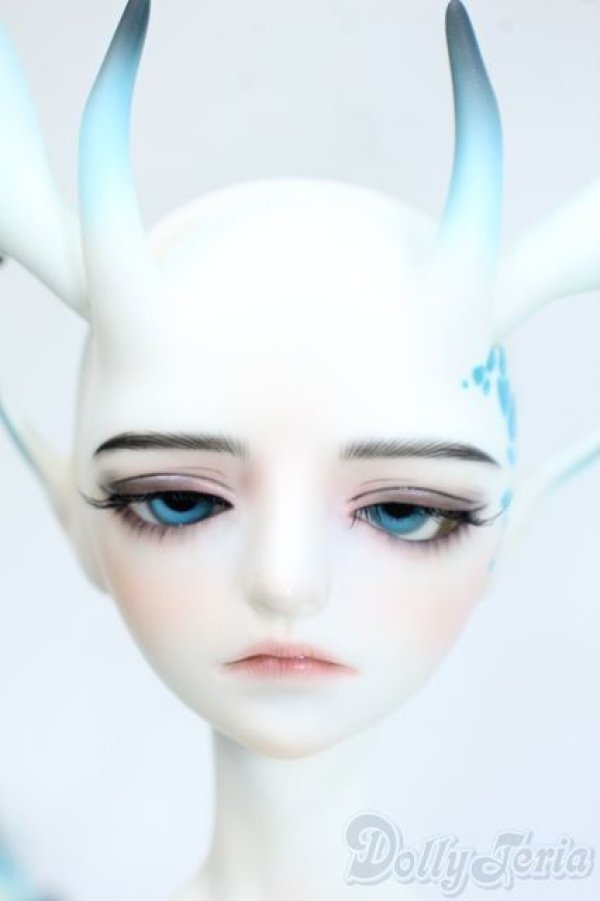 画像7: Dream Valley/Cayes(?伊斯) Dragon Version Fullset A-25-08-13-278-YD-ZU (7)