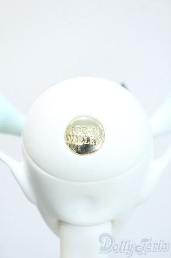 画像8: Dream Valley/Cayes(?伊斯) Dragon Version Fullset A-25-08-13-278-YD-ZU (8)