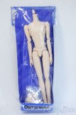 画像1: オビツ27ｃｍ/男性ボディ・スリムタイプ Y-25-04-16-208-YD-ZY (1)