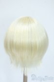 画像2: 8-9inch/ウィッグ Y-25-04-23-101-YD-ZY (2)