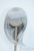 画像1: 9inch/ウィッグ(DOLLCE製/セミロング/月白) Y-25-04-23-115-YD-ZY (1)