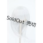 画像: 9inch/ウィッグ(DOLLCE製/セミロング/月白) Y-25-04-23-115-YD-ZY