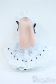 画像5: DOLLCE/ミニスウィーツドール：スノーアニス Y-25-04-23-006-YD-ZY (5)