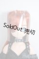 画像: えっくすきゅーと/魔女っ子あいか：リトルウィッチ オブ フレームveｒ1.1 Y-25-04-23-122-YD-ZY