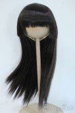 画像1: 9-10inch/ウィッグ Y-25-04-23-112-YD-ZY (1)