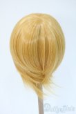 画像2: 9-10inch/ウィッグ Y-25-04-23-217-YD-ZY (2)