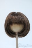 画像1: 9-10inch/ウィッグ Y-25-04-23-228-YD-ZY (1)