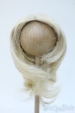 画像1: 9-10inch/ウィッグ Y-25-04-23-230-YD-ZY (1)