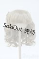 画像: 9-10inch/ウィッグ Y-25-04-23-236-YD-ZY