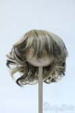 画像1: 9-10inch/ウィッグ Y-25-04-23-237-YD-ZY (1)