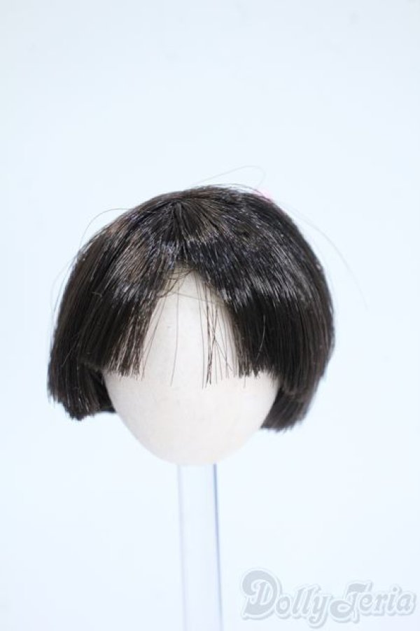 画像1: 4.5inch/ウィッグ Y-25-04-30-183-YD-ZY (1)