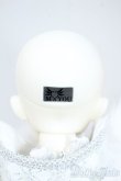 画像8: MYOUDOLL/Snow Delia 2020 ver. Y-25-05-07-002-YD-ZY (8)