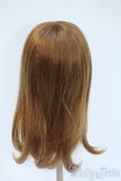 画像2: 9-10inch/ウィッグ Y-25-05-07-025-YD-ZY (2)