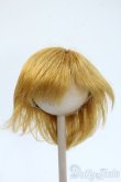 画像1: 9-10inch/ウィッグ Y-25-05-07-230-YD-ZY (1)