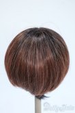 画像2: 9-10inch/ウィッグ Y-25-05-07-231-YD-ZY (2)