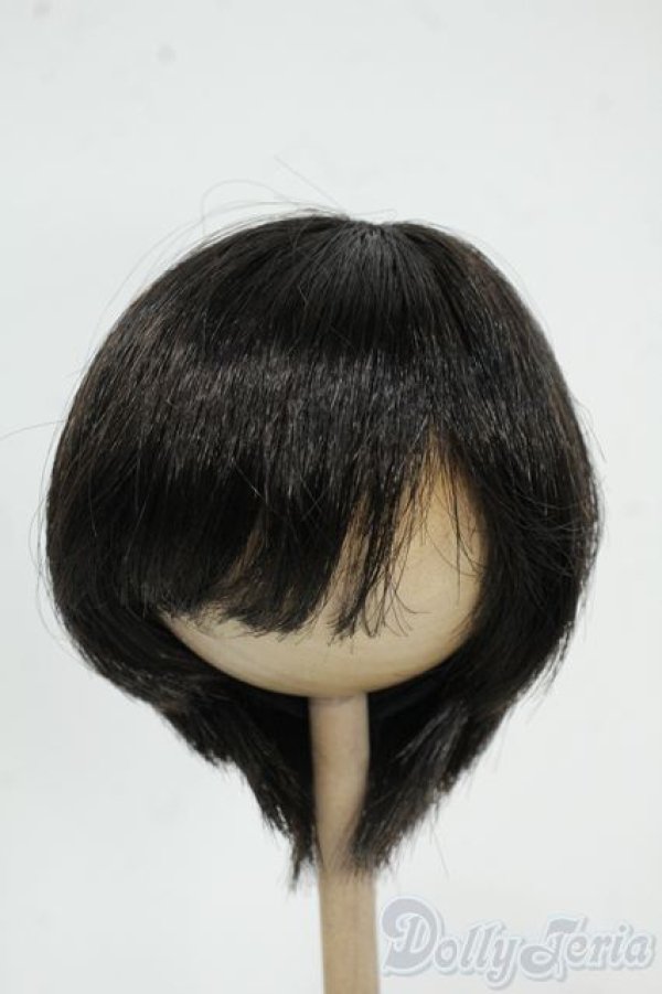 画像1: 8-9inch/ウィッグ Y-25-12-17-180-YD-ZY (1)