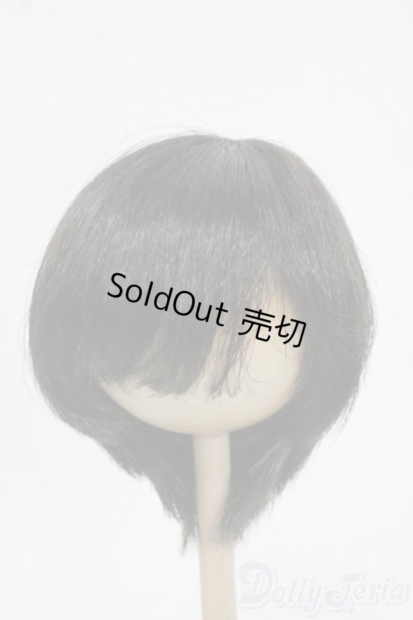 画像1: 8-9inch/ウィッグ Y-25-12-17-180-YD-ZY (1)