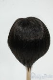 画像2: 8-9inch/ウィッグ Y-25-12-17-180-YD-ZY (2)