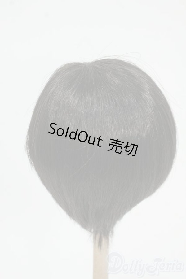 画像2: 8-9inch/ウィッグ Y-25-12-17-180-YD-ZY (2)